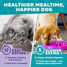 Outward Hound Fun Feeder Slo Bowl, Large Slow Feeder Dog Bowl, 4 Cups, Purple