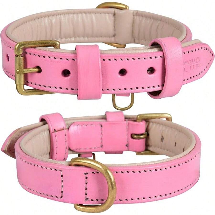 Collar de Cuero para Perros Medianos, Marrón, 1 Pulgada de Ancho, Cuero Genuino de Grano Completo, Resistente con Acolchado Interior Suave, Cómodo y Duradero (Mediano (Ajuste para Cuello de 14.5-18.5), Marrón) - Rosa ruborizado - Ver 1