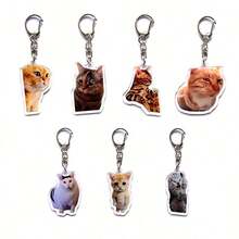 1pc/4pcs Pet Keychain Cat Photo Acrylic Pendant Accessory Backpack For School Letter - Multicolor - View 2