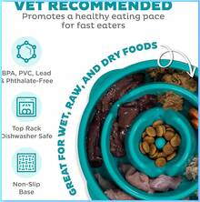 Hound Fun Feeder Slo Bowl, Medium Slow Feeder Dog Bowl, 2 Cups, Turquoise