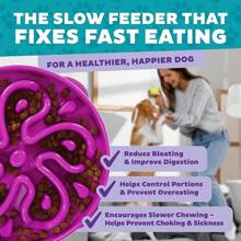 Outward Hound Fun Feeder Slo Bowl, Large Slow Feeder Dog Bowl, 4 Cups, Purple