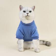 1pc Pet Crew Neck Sweatshirt, Pet Supplies Dog Cat Autumn/Winter Warm Clothing, Plush Soft Comfortable Apparel, Casual Homewear Animal Outfit, Cute Funny Cartoon Dog Cat Clothes - Blue - View 5