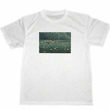 White 285