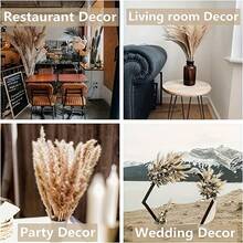 110pcs Dried Pampas Grass Bouquet - Brown & White, Ideal For Wedding, Home Decor, Parties | Multi-Purpose Decor For Christmas, Halloween, Thanksgiving - 彩色 - 查看 6