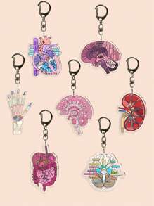 1件装亚克力护士包挂件钥匙扣，饰有解剖学心脏、大脑、身体、眼球、肺等图案，适合医护人员、护理人员及毕业礼物