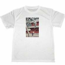White 287