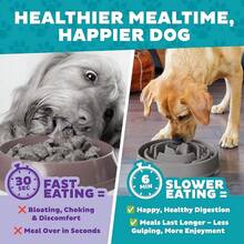 CRUTOutward Hound Fun Feeder Slo Bowl, Large Slow Feeder Dog Bowl, 4 Cups, Purple - 灰色的 - 查看 6