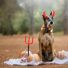 Elegant Little Tail Halloween Dog Collar Ghosts Collars Holiday With Quick Release Buckle Pet Puppy Collar