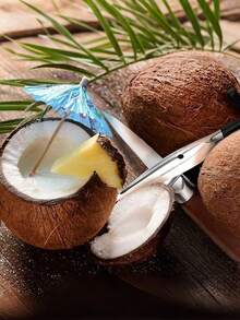 不锈钢便携式椰子开壳器 - 含钻孔工具和刮刀 - 户外露营的理想选择