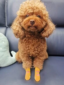 4/8pcs/Pack Random Printed Pet Socks With Cute Pig, Flower, Strawberry And Rabbit Patterns - Multicolor - View 5