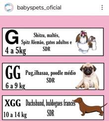 roupinha pet vestidinho fresquinho  verão de malha  para cachorras e gatas