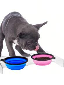 Portable Pet Travel Bowl - Collapsible Dog & Cat Food/Water Dish With Carabiner (1-Piece) - 隨機顏色 - 查看 6