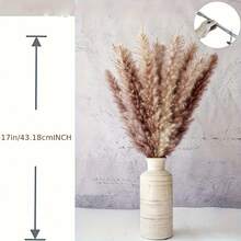 110pcs Dried Pampas Grass Bouquet - Brown & White, Ideal For Wedding, Home Decor, Parties | Multi-Purpose Decor For Christmas, Halloween, Thanksgiving - 彩色 - 查看 2