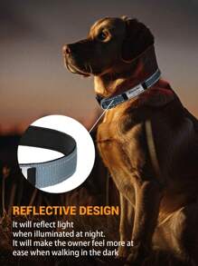 1Pc Reflective Personalized Dog Collar With Nameplate, Adjustable Dog Collar With Custom Engraved Steel Slide On Pet ID Tag, Silent, No Noise Dog Tag For Large Medium Or Small Large Comfort-Fit Neoprene Dog Collar For Small And Medium Breeds - Hi-Vis Reflective Adjustable, Soft Padding For Optimal Comfort - Ideal For Daily Walks & Outdoor Adventures