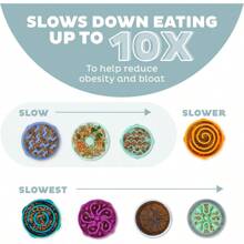 Fun Feeder Slo Bowl Large Slow Feeder Dog Bowl 4 Cups Sage - Large - View 4