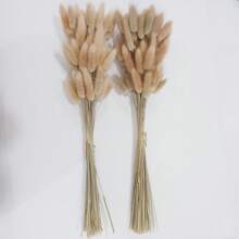 Set da 30/60/120 pezzi di profumo naturale di erba coda di coniglio lagurus ovatus - riempitivi per vasi morbidi e soffici, perfetti per decorazioni natalizie, di San Valentino, della Festa della Mamma, compleanni, lauree, autunno