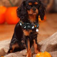 Elegant Little Tail Halloween Dog Collar Pumpkin With Ghost Print Black Halloween Pet Collars Soft Puppy Collars Holiday Adjustable Collar