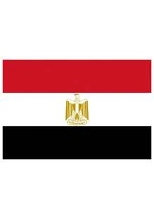 1pc/Large National Flag Tapestry, Durable Polyester, Multiple Sizes Available, Suitable For Home Decor, Bedroom, Living Room, Study, Office, Outdoor Party Decoration, Parade, Suitable For Holidays, Suitable For Group Activities (2D Printed)