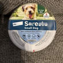 1 Pack Flea & Tick Collar For Small Dogs Under 18 Lbs - 8-Month Protection Each, Plant-Based Formula, Waterproof & Odorless - Như Hình Ảnh - Xem 3