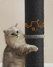 Feandrea Cat Scratching Post, 85 Cm Tall Cat Scratcher For Medium And Large Cats, Furniture Scratching Deterrent Sisal Scratch Pole, Spring Pompom With Built-In Bell, Ink Black