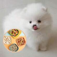 1/4/10件装猫狗碗 - 耐用塑料宠物食盆和水盆套装。便携式喂食盘套装，适用于零食和早餐，塑料材质，厨房必备工具。餐盘，骨盘，家用骨盘，小零食盘，创意塑料盘 - 彩色 - 查看 3