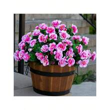 6 Artificial Velvet Rosewood, Spring Decoration Artificial Outdoor Flowers And Plants, UV Resistant, Realistic, Suitable For Outdoor Potted Plants, Porch, Courtyard, Balcony, Garden, Courtyard Home Decoration - Hồng - Xem 2