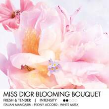 Christian Dior Dior Miss Blooming Bouquet Eau De Toilette Parfum Spray For Women, Sample EDT Mini Travel Splash (5ml/0.17 Fl.Oz ) Fragrance - 15ml(5ml*3瓶)迷你旅行裝 - 查看 3