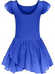 Girls Ruffle Sleeve Ballet Dance Dress Tutu Skirted Leotard