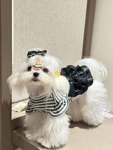 1 quần áo cho thú cưng, váy cho chó vui vẻ, kiểu váy da sọc, vải thoải mái, mùa xuân/hè - màu đen - Xem 8