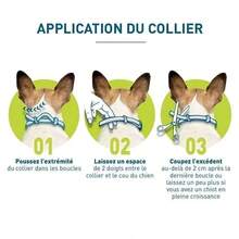2 Pack Flea & Tick Collars For Large Dogs Under 18 Lbs – 8-Month Protection, Low-Odor, Water-Resistant, Vet-Inspired Design - 如圖 - 查看 7
