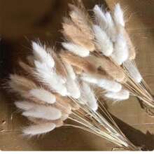 Set da 30/60/120 pezzi di profumo naturale di erba coda di coniglio lagurus ovatus - riempitivi per vasi morbidi e soffici, perfetti per decorazioni natalizie, di San Valentino, della Festa della Mamma, compleanni, lauree, autunno