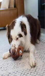 Outward Hound Tootiez Sheep Grunting Latex Rubber Dog Toy, Small - MàuB - Xem 5