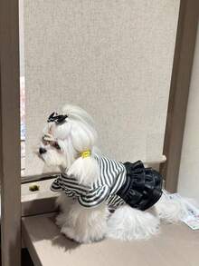 1 quần áo cho thú cưng, váy cho chó vui vẻ, kiểu váy da sọc, vải thoải mái, mùa xuân/hè - màu đen - Xem 9