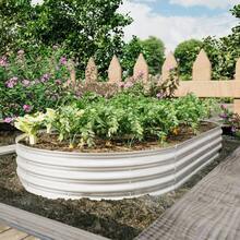 Raised Garden Bed Kit, Galvanized Planter Raised Garden Beds For Outdoor For Vegetables,Flowers &Herbs, Heavy Duty, Rust-Resistant, Easy Assembly - 1件 8x4x1英尺 - 查看 5