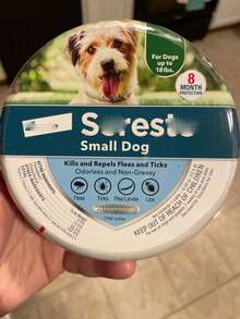 1 Pack Flea & Tick Collar For Small Dogs Under 18 Lbs - 8-Month Protection Each, Plant-Based Formula, Waterproof & Odorless - Như Hình Ảnh - Xem 2