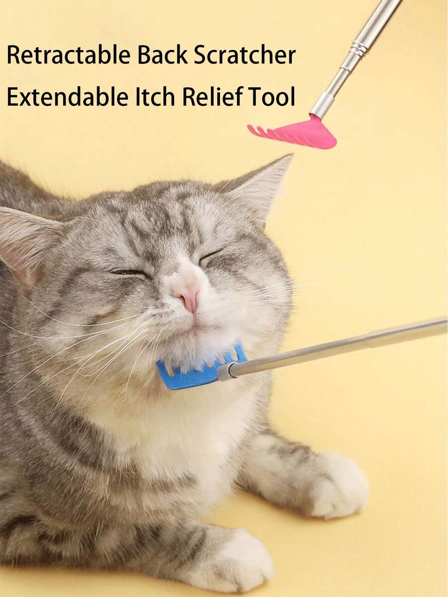 1 件可伸缩互动逗猫棒 - 二合一按摩梳和抓挠玩具，适合宠物美容玩耍