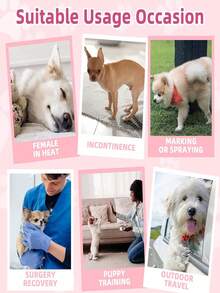 Pet Dog Diapers, Puppy Diapers, Suitable For Toy Poodle, For Pet Menstrual Period, Protect Pet Health, Best Birthday Gift For Happy Puppy, Pet Supplies, Pet Diapers - Multicolor - View 9