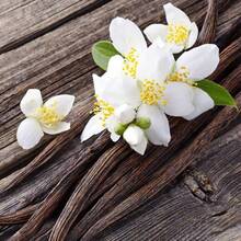 Aroma Termoresistente al calor para la elaboración de jabones y velas artesanales - Multicolor - Ver 7