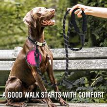 2 Pack Dog Leash 5 FT Heavy Duty - Comfortable Padded Handle - Reflective Dog Leash Medium Large Dogs With Collapsible Pet Bowl, Dog Gear - 套裝 2-黑色+藍色 - 查看 3