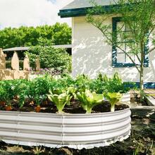 Raised Garden Bed Kit, Galvanized Planter Raised Garden Beds For Outdoor For Vegetables,Flowers &Herbs, Heavy Duty, Rust-Resistant, Easy Assembly - 1件 8x4x1英尺 - 查看 3