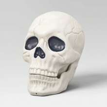 10" Oversized Skull Halloween Decorative Prop : Indoor/Outdoor Decor