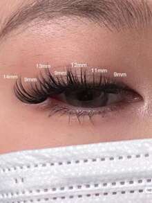 280片 40D D卷混合 9-16mm DIY簇状假睫毛 单根嫁接 自然轻盈浓密 柔软可重复使用仿貂毛假睫毛 家用沙龙专业使用 睫毛簇 - 黑色 - 查看 4