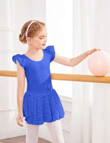 Girls Ruffle Sleeve Ballet Dance Dress Tutu Skirted Leotard