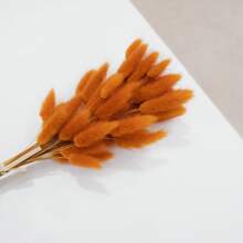 Set da 30/60/120 pezzi di profumo naturale di erba coda di coniglio lagurus ovatus - riempitivi per vasi morbidi e soffici, perfetti per decorazioni natalizie, di San Valentino, della Festa della Mamma, compleanni, lauree, autunno