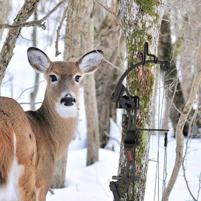 DECOHS 4/8/16 piezas Soporte de engranaje con lazo, Gancho para árbol de caza con revestimiento atornillable, Colgador portátil de arco para accesorio de plataforma de caza en árbol y mochila colgante