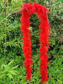 1/5 件人造彩色羽毛围巾 6.6 英尺女士羽毛围巾，适用于舞蹈婚礼派对万圣节、舞台装饰节日派对头饰配饰服装配饰、围巾装饰，适用于生日派对、万圣节、圣诞节、赛马、茶会、除夕夜、音乐会和家居装饰、舞蹈婚礼、舞台表演、狂欢节服装及配饰、派对用品，是送礼的理想选择 - 彩色 - 查看 9