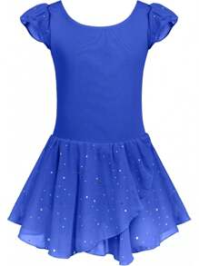 Girls Ruffle Sleeve Ballet Dance Dress Tutu Skirted Leotard