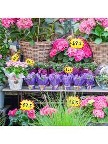 50pcs Starburst Signs Price Tags,Yellow Bargain Price Tags,Mini Product Price Tag,For Retail & Garage/Yard Supplies - Price Tags & Poster Board Decorations