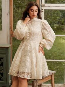 Anewsta Women's Elegant Floral Embroidered Lantern Sleeve Stand Collar Waist Cinch Mesh Midi Dress, Boho Spring Outfits For Plus Size