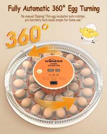 30 Egg Incubator With Automatic Turner, Digital Temperature And Humidity Display, And Built-In Egg Candler For Hatching Chickens, Quail, And Ducks - Xem 2